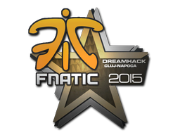 印花 | Fnatic | 2015年克卢日-纳波卡锦标赛