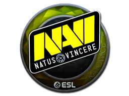 印花 | Natus Vincere(闪亮)| 2019年卡托维兹锦标赛