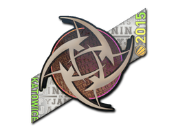 印花 | Ninjas in Pyjamas(全息)| 2015年卡托维兹锦标赛