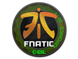 印花 | Fnatic(全息)| 2019年卡托维兹锦标赛