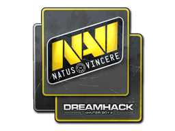 印花 | Natus Vincere | 2014年 DreamHack 锦标赛