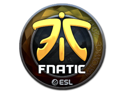 印花 | Fnatic(闪亮)| 2019年卡托维兹锦标赛