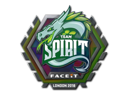 印花 | Team Spirit(全息)| 2018年伦敦锦标赛