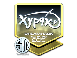 印花 | Xyp9x(闪亮)| 2015年卢日-纳波卡锦标赛