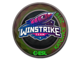 印花 | Winstrike Team(全息)| 2019年卡托维兹锦标赛