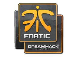 印花 | Fnatic | 2014年 DreamHack 锦标赛