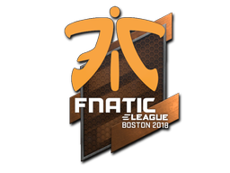 印花 | Fnatic | 2018年波士顿锦标赛