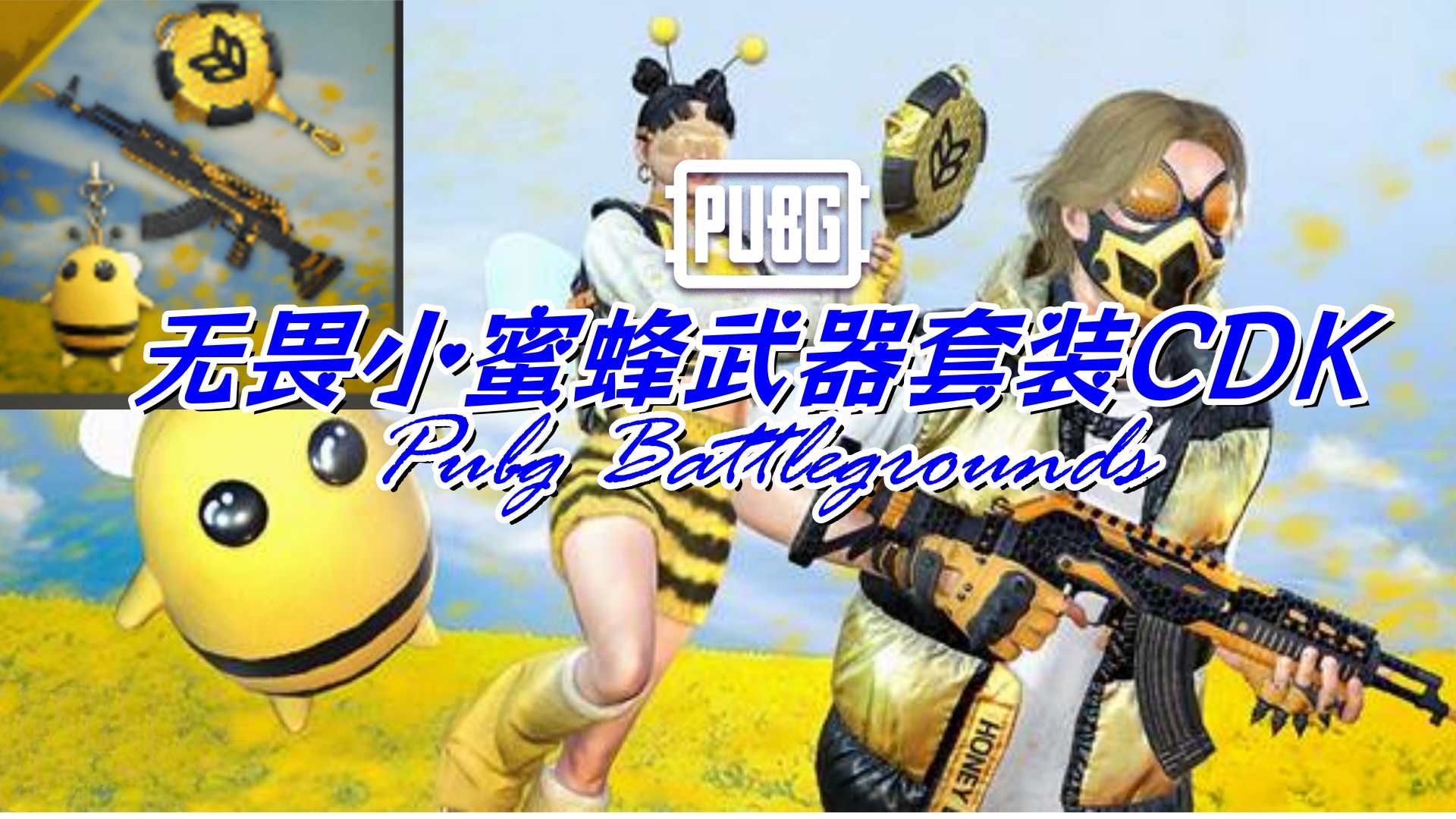 PUBG 无畏小蜜蜂武器套装CDK
