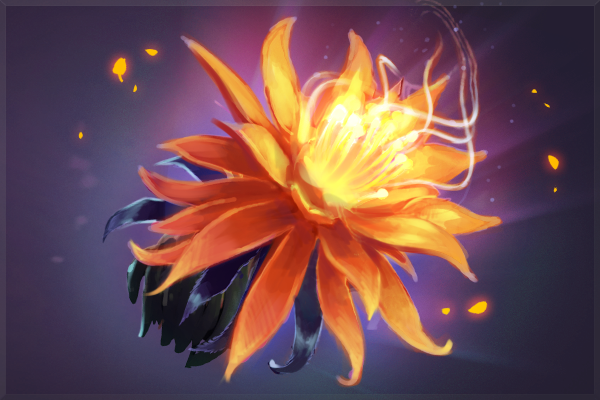 2019年猩红见证者的珍藏