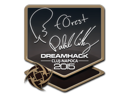 印花 | f0rest | 2015年卢日-纳波卡锦标赛