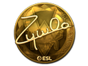 印花 | ZywOo（金色）| 2019年卡托维兹锦标赛