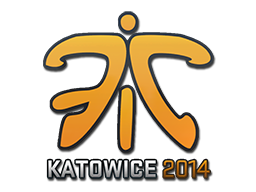 印花 | Fnatic | 2014年卡托维兹锦标赛