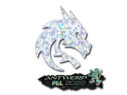 Team Spirit(闪耀)| 2022年安特卫普锦标赛 Team Spirit(闪耀)| 2022年安特卫普锦标赛