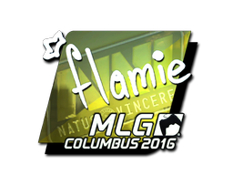  flamie（闪亮）| 2016年 MLG 哥伦布锦标赛