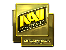  Natus Vincere（金色）| 2014年 DreamHack 锦标赛