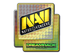  Natus Vincere（闪亮）| 2014年 DreamHack 锦标赛