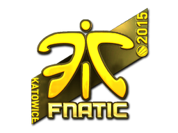  Fnatic（金色）| 2015年卡托维兹锦标赛