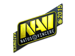  Natus Vincere（闪亮）| 2015年卡托维兹锦标赛