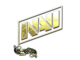 Natus Vincere(金色)| 2023年巴黎锦标赛 Natus Vincere(金色)| 2023年巴黎锦标赛